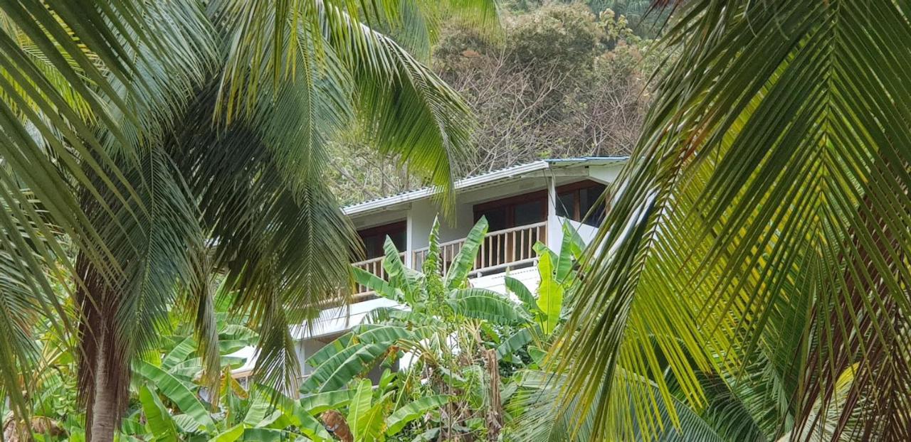 Vista Caribe Ξενοδοχείο Portobelo Εξωτερικό φωτογραφία