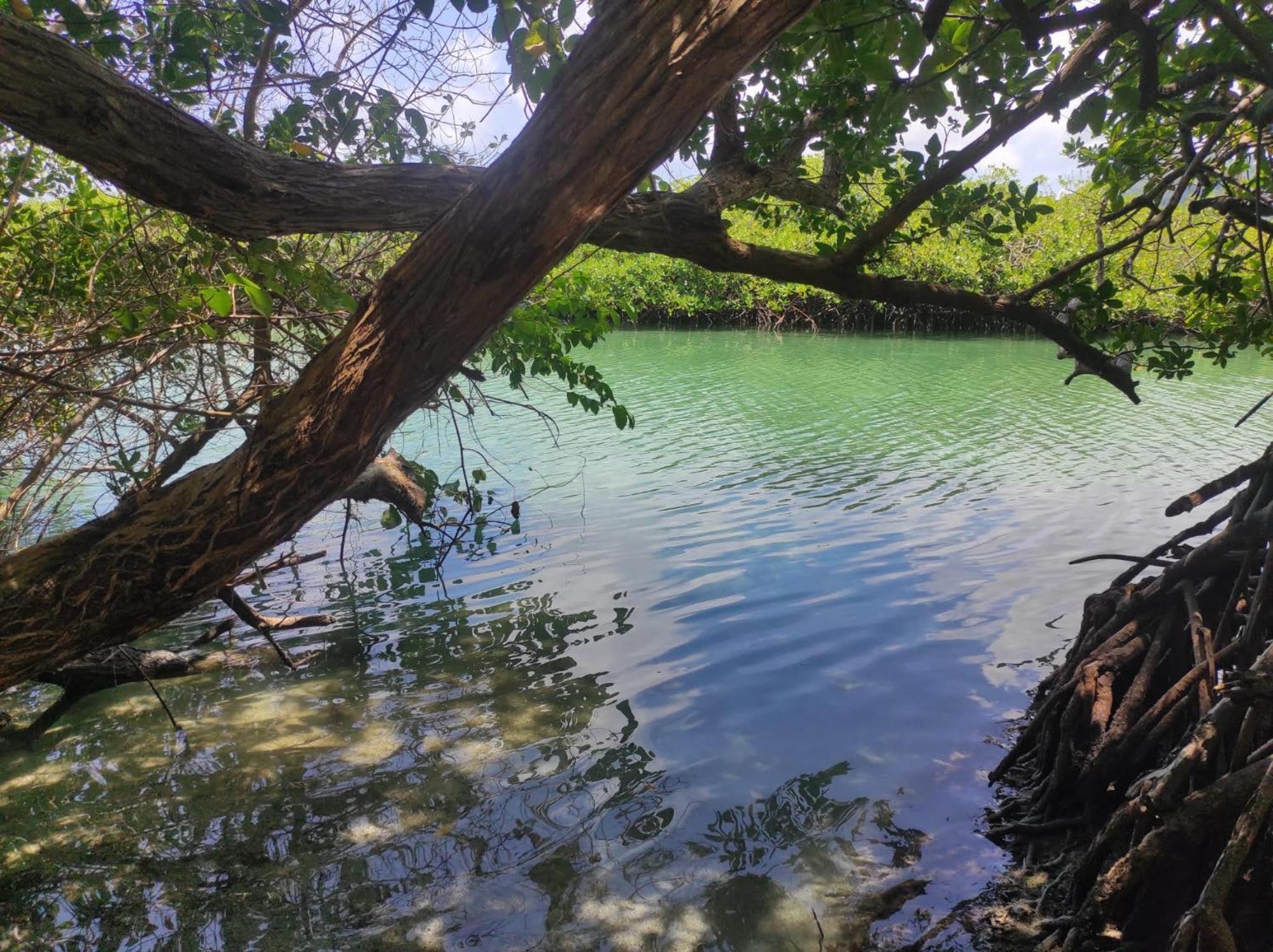 Vista Caribe Ξενοδοχείο Portobelo Εξωτερικό φωτογραφία